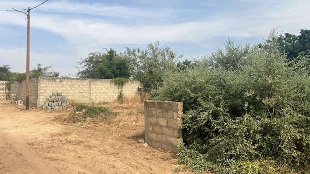Terrain de 300 mètres carrés à vendre à Saly Sénégal