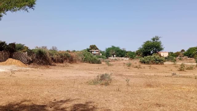 Terrains de 300 mètres carrés à vendre à Malicounda SN