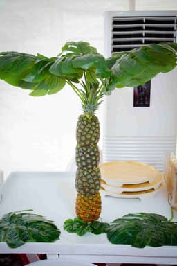 Seller Image