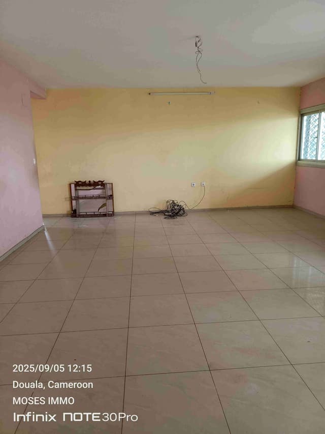 Appartement à louer à omnisports bepanda